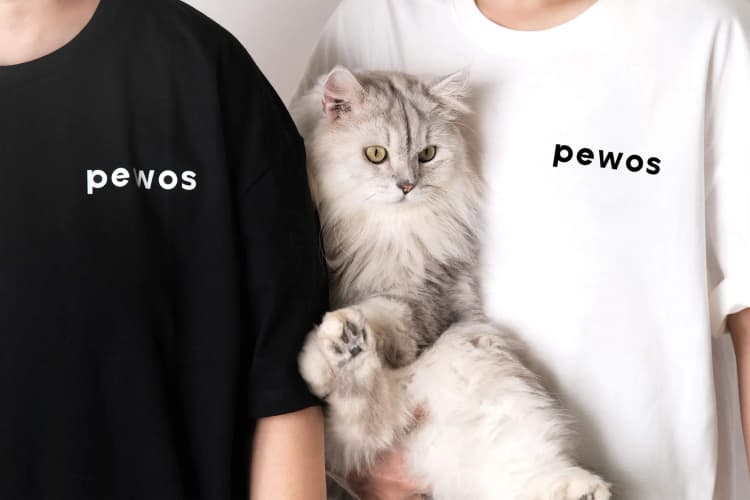 pewos-shopify-london-ecommerce-overseas-fulfillment