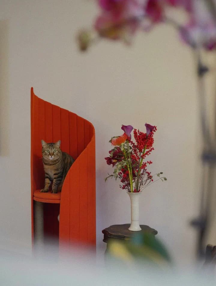 Time Travel Tower Cat Tree